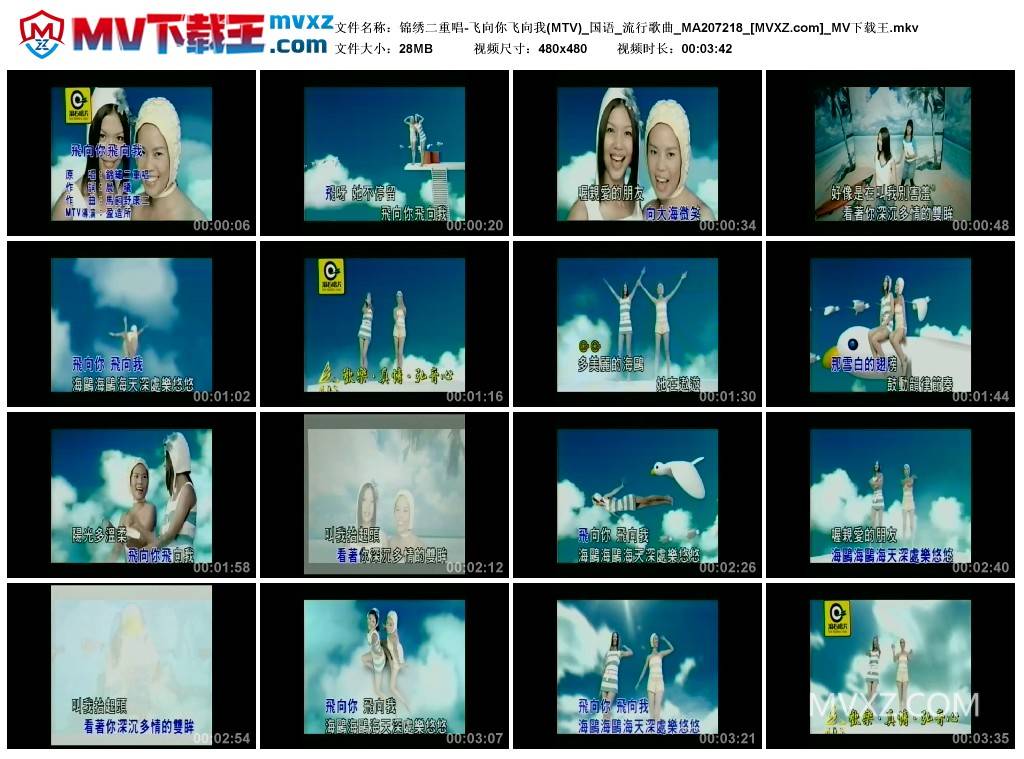 锦绣二重唱-飞向你飞向我(MTV)_国语_流行歌曲_MA207218